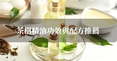 茶樹精油 寵物|精油字典——茶樹精油 功效/注意事項/使用方法。